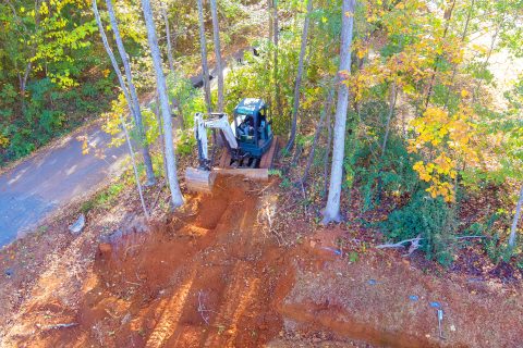 Local knowledge and good connections.